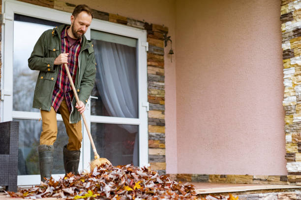 Best Basement Cleanout Services  in Holly Hill, FL
